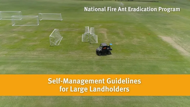 Educational video example